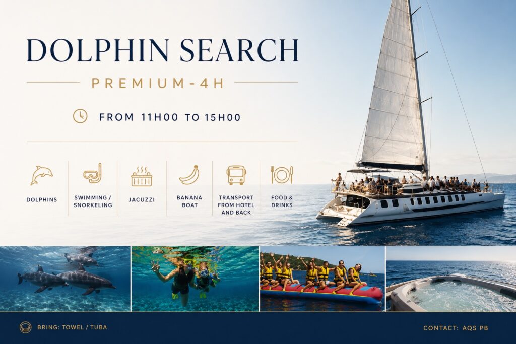 Dolphin Search Prenium