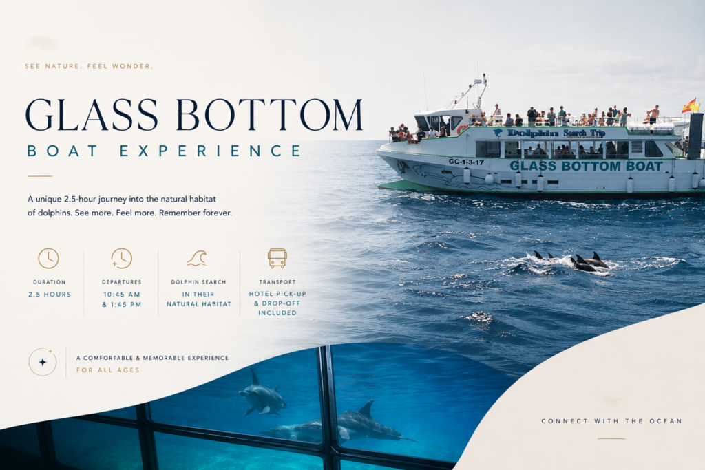 Dolphin Search - Glass Bottom Boat