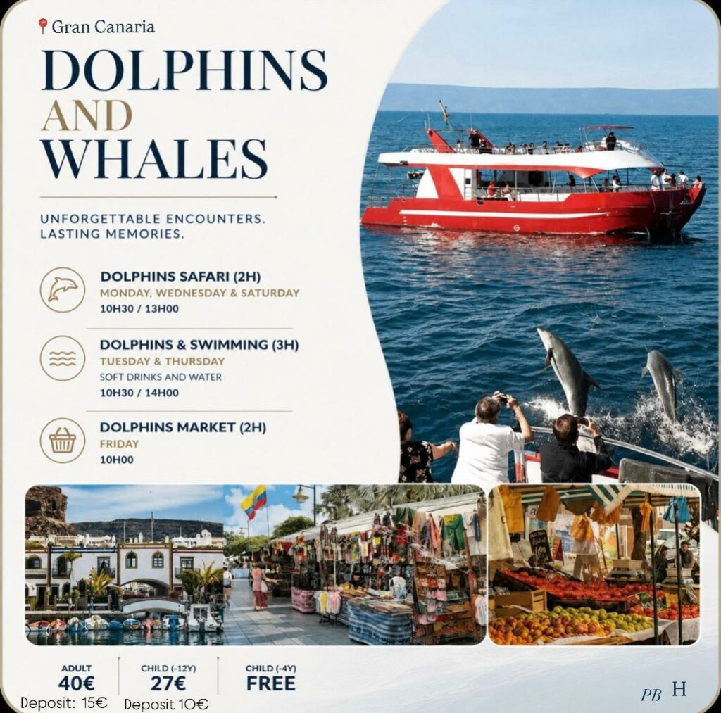 Dolphins & Whales